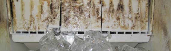 How to Clean an Ice Machine